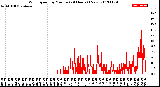 Milwaukee Weather Wind Speed<br>by Minute<br>(24 Hours) (New)