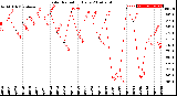 Milwaukee Weather Solar Radiation<br>Daily