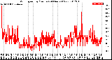 Milwaukee Weather Wind Speed<br>by Minute<br>(24 Hours) (New)