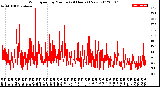 Milwaukee Weather Wind Speed<br>by Minute<br>(24 Hours) (New)