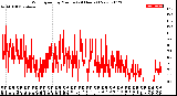 Milwaukee Weather Wind Speed<br>by Minute<br>(24 Hours) (New)