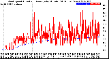 Milwaukee Weather Wind Speed<br>Actual and Average<br>by Minute<br>(24 Hours) (New)