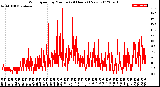 Milwaukee Weather Wind Speed<br>by Minute<br>(24 Hours) (New)