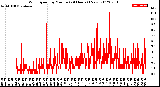 Milwaukee Weather Wind Speed<br>by Minute<br>(24 Hours) (New)