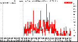 Milwaukee Weather Wind Speed<br>by Minute<br>(24 Hours) (New)