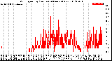 Milwaukee Weather Wind Speed<br>by Minute<br>(24 Hours) (New)