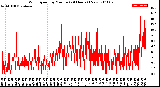 Milwaukee Weather Wind Speed<br>by Minute<br>(24 Hours) (New)