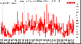 Milwaukee Weather Wind Speed<br>by Minute<br>(24 Hours) (New)