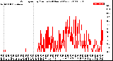 Milwaukee Weather Wind Speed<br>by Minute<br>(24 Hours) (New)