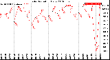 Milwaukee Weather Solar Radiation<br>Daily