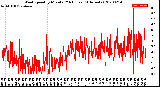 Milwaukee Weather Wind Speed<br>by Minute<br>(24 Hours) (Alternate)