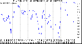 Milwaukee Weather Dew Point<br>by Minute<br>(24 Hours) (Alternate)