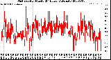 Milwaukee Weather Wind Speed<br>by Minute<br>(24 Hours) (Alternate)