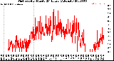 Milwaukee Weather Wind Speed<br>by Minute<br>(24 Hours) (Alternate)