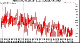 Milwaukee Weather Wind Speed<br>by Minute<br>(24 Hours) (Alternate)