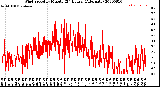 Milwaukee Weather Wind Speed<br>by Minute<br>(24 Hours) (Alternate)