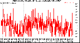 Milwaukee Weather Wind Speed<br>by Minute<br>(24 Hours) (Alternate)