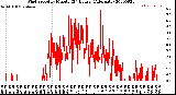 Milwaukee Weather Wind Speed<br>by Minute<br>(24 Hours) (Alternate)