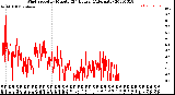 Milwaukee Weather Wind Speed<br>by Minute<br>(24 Hours) (Alternate)