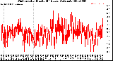 Milwaukee Weather Wind Speed<br>by Minute<br>(24 Hours) (Alternate)