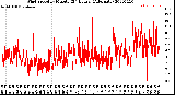 Milwaukee Weather Wind Speed<br>by Minute<br>(24 Hours) (Alternate)