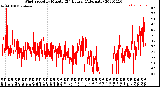 Milwaukee Weather Wind Speed<br>by Minute<br>(24 Hours) (Alternate)