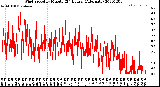 Milwaukee Weather Wind Speed<br>by Minute<br>(24 Hours) (Alternate)