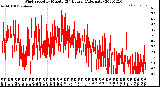 Milwaukee Weather Wind Speed<br>by Minute<br>(24 Hours) (Alternate)