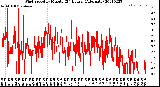 Milwaukee Weather Wind Speed<br>by Minute<br>(24 Hours) (Alternate)