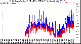 Milwaukee Weather Wind Speed/Gusts<br>by Minute<br>(24 Hours) (Alternate)