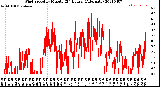 Milwaukee Weather Wind Speed<br>by Minute<br>(24 Hours) (Alternate)