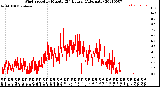 Milwaukee Weather Wind Speed<br>by Minute<br>(24 Hours) (Alternate)