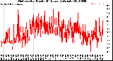 Milwaukee Weather Wind Speed<br>by Minute<br>(24 Hours) (Alternate)