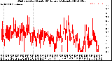 Milwaukee Weather Wind Speed<br>by Minute<br>(24 Hours) (Alternate)