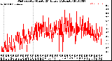 Milwaukee Weather Wind Speed<br>by Minute<br>(24 Hours) (Alternate)