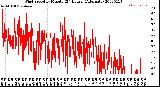 Milwaukee Weather Wind Speed<br>by Minute<br>(24 Hours) (Alternate)