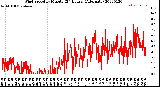 Milwaukee Weather Wind Speed<br>by Minute<br>(24 Hours) (Alternate)