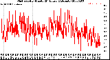 Milwaukee Weather Wind Speed<br>by Minute<br>(24 Hours) (Alternate)