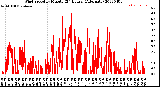 Milwaukee Weather Wind Speed<br>by Minute<br>(24 Hours) (Alternate)