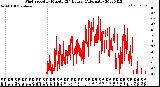 Milwaukee Weather Wind Speed<br>by Minute<br>(24 Hours) (Alternate)