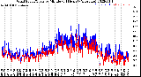 Milwaukee Weather Wind Speed/Gusts<br>by Minute<br>(24 Hours) (Alternate)