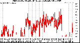 Milwaukee Weather Wind Speed<br>by Minute<br>(24 Hours) (Alternate)