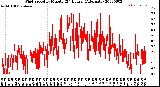 Milwaukee Weather Wind Speed<br>by Minute<br>(24 Hours) (Alternate)