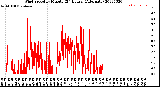 Milwaukee Weather Wind Speed<br>by Minute<br>(24 Hours) (Alternate)