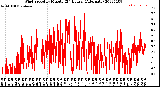 Milwaukee Weather Wind Speed<br>by Minute<br>(24 Hours) (Alternate)