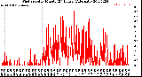 Milwaukee Weather Wind Speed<br>by Minute<br>(24 Hours) (Alternate)