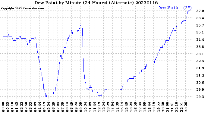 Milwaukee Weather Dew Point<br>by Minute<br>(24 Hours) (Alternate)