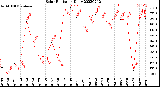 Milwaukee Weather Solar Radiation<br>Daily