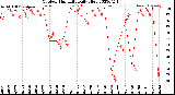 Milwaukee Weather Outdoor Humidity<br>Daily High