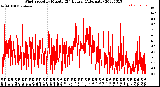 Milwaukee Weather Wind Speed<br>by Minute<br>(24 Hours) (Alternate)